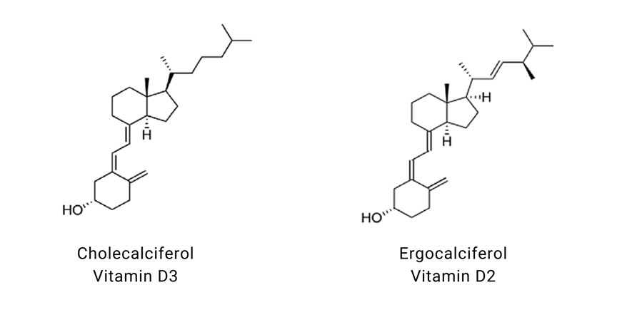 Qué es la vitamina D